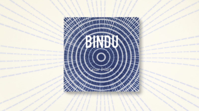 Surfari Press - Bindu Book Cover