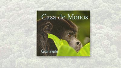 Casa de Monos by Cesar Iriarte - Cover